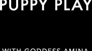 Miss Amina Rose - Puppy Play