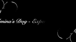 Miss Amina Rose - Amina's Dog - Experiment Complete