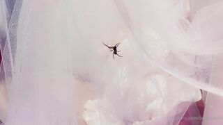 Belle Delphine   06 09 2020 Spooky Spider (1)