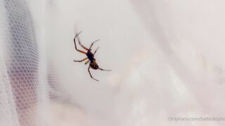 Belle Delphine   06 09 2020 Spooky Spider (1)