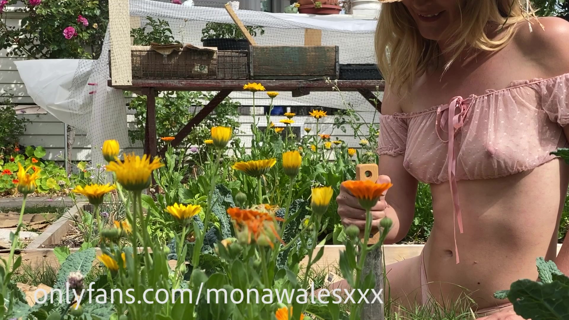mona wal es garden