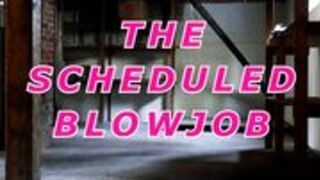 Fembot Xev Bellringer Gives Scheduled Blow Job