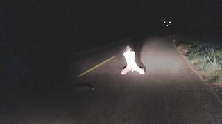 misssweetteen - Masturbation On The Night Street